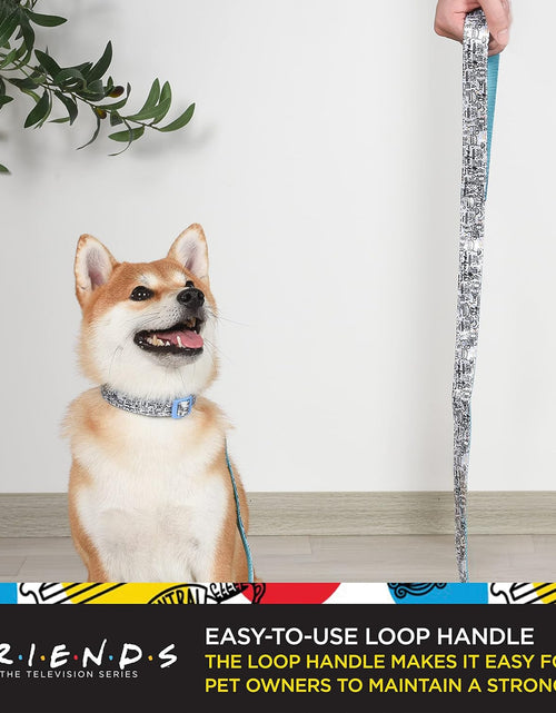 Load image into Gallery viewer, Friends TV Show City Doodle Dog Leash, Attaches to Harness - Friends Dog Lead, Puppy Leash, Leash for Dogs, Dog Leashes, Cute Dog Leash, Blue Dog Leash, Friends Pet Leash for Puppy, Dog Walking Leash
