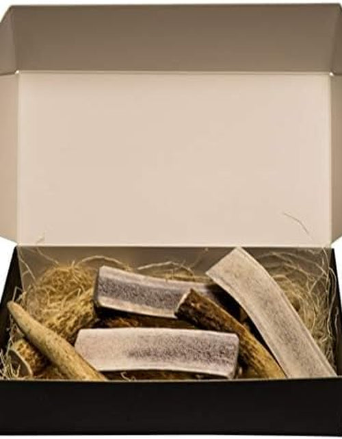 Load image into Gallery viewer, Premium Elk Antler Dog Chews (1 Pound Box) (Small (7-8 Pieces) Whole/Split Mixed)
