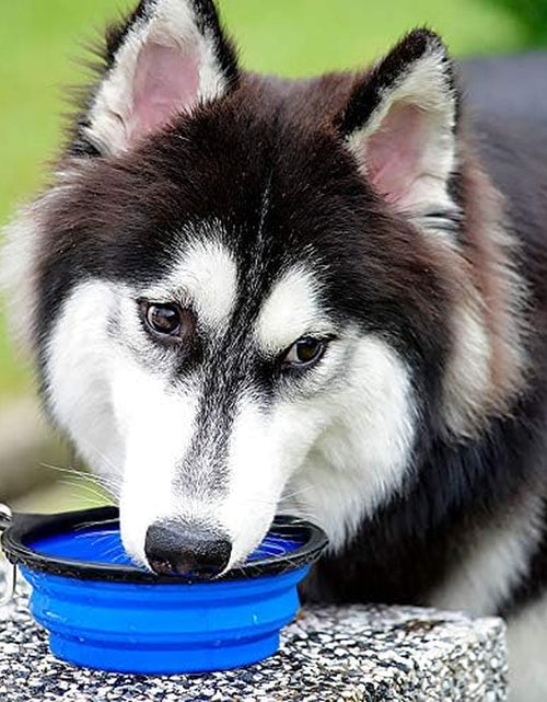 Load image into Gallery viewer, Extra Large Collapsible Dog Bowls 2 Pack, 34Oz Foldable Dog Travel Bowl, Portable Dog Water Food Bowl with Carabiner, Pet Feeding Cup Dish for Traveling, Walking, Parking
