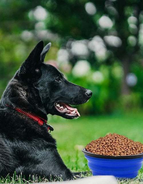 Load image into Gallery viewer, Collapsible Dog Bowl, 2 Pack Collapsible Dog Water Bowls for Cats Dogs, Portable Pet Feeding Watering Dish for Walking Parking Traveling with 2 Carabiners
