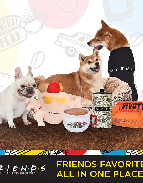 Load image into Gallery viewer, Friends TV Show City Doodle Dog Leash, Attaches to Harness - Friends Dog Lead, Puppy Leash, Leash for Dogs, Dog Leashes, Cute Dog Leash, Blue Dog Leash, Friends Pet Leash for Puppy, Dog Walking Leash
