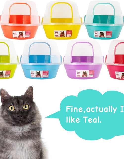 Load image into Gallery viewer, Jumbo Hooded Cat Litter Box, Extra Large, Teal
