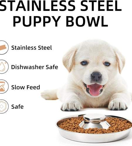 Stainless Steel Puppy Bowls, Set of 2 Puppy Feeder, Dog Food and Water Bowl, Food Feeding Weaning for Small Medium Large Dogs, Pets, M