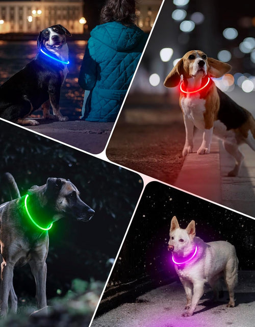 Load image into Gallery viewer, Light up Dog Collars - Rechargeable LED Dog Collar, Glowing Puppy Collar, TPU Cuttable Dog Walking Lights for Small Medium and Large Dogs (Pink-Ii)
