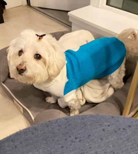 Pet Dog Sweaters Classic Knitwear Turtleneck Winter Warm Puppy Clothing Cute Strawberry and Heart Doggie Sweater