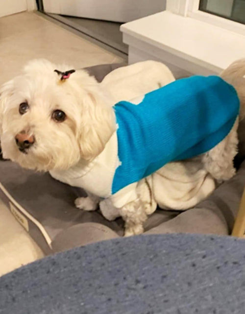 Load image into Gallery viewer, Pet Dog Sweaters Classic Knitwear Turtleneck Winter Warm Puppy Clothing Cute Strawberry and Heart Doggie Sweater
