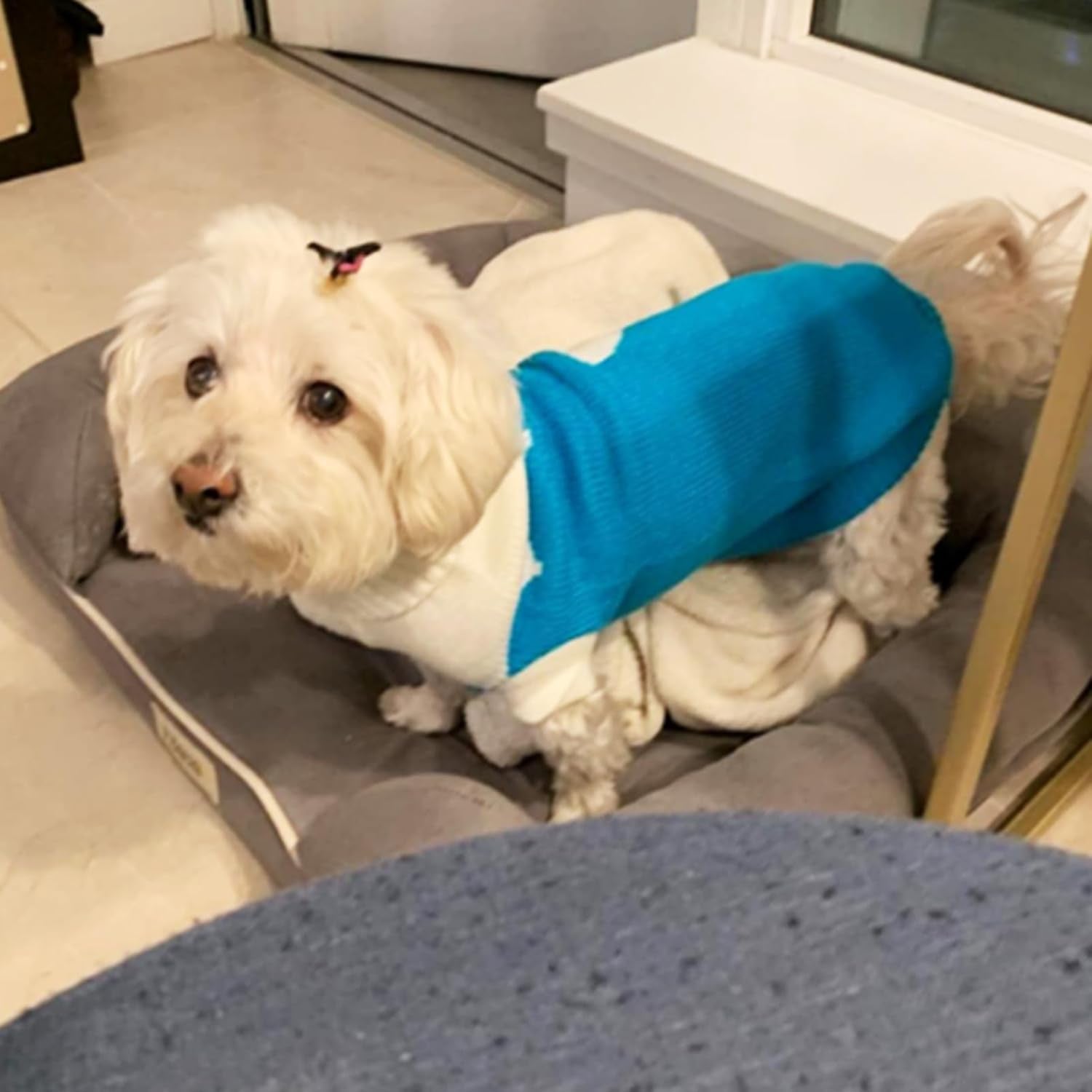 Pet Dog Sweaters Classic Knitwear Turtleneck Winter Warm Puppy Clothing Cute Strawberry and Heart Doggie Sweater