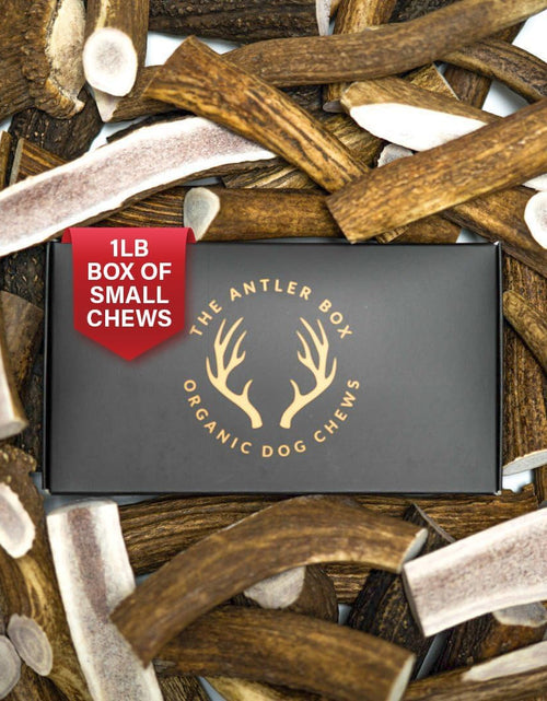 Load image into Gallery viewer, Premium Elk Antler Dog Chews (1 Pound Box) (Small (7-8 Pieces) Whole/Split Mixed)
