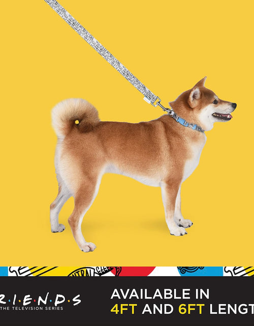 Load image into Gallery viewer, Friends TV Show City Doodle Dog Leash, Attaches to Harness - Friends Dog Lead, Puppy Leash, Leash for Dogs, Dog Leashes, Cute Dog Leash, Blue Dog Leash, Friends Pet Leash for Puppy, Dog Walking Leash
