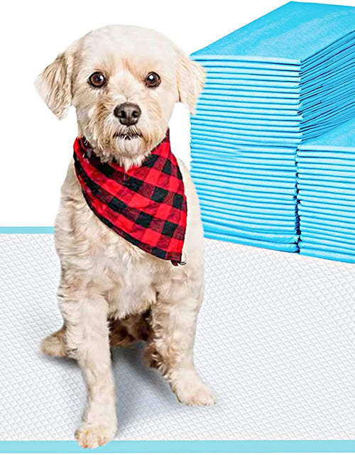 Load image into Gallery viewer, Pet Training and Puppy Pads Pee Pads for Dogs 22&quot;X22&quot;-50 Count Super Absorbent &amp; Leak-Proof
