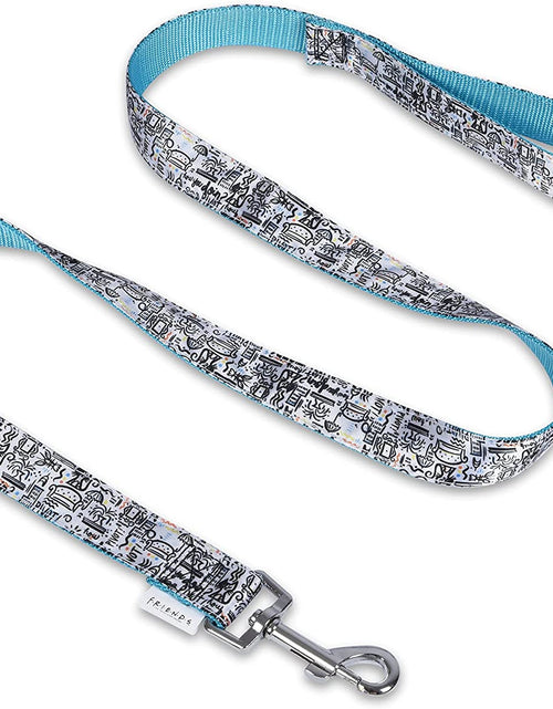 Load image into Gallery viewer, Friends TV Show City Doodle Dog Leash, Attaches to Harness - Friends Dog Lead, Puppy Leash, Leash for Dogs, Dog Leashes, Cute Dog Leash, Blue Dog Leash, Friends Pet Leash for Puppy, Dog Walking Leash

