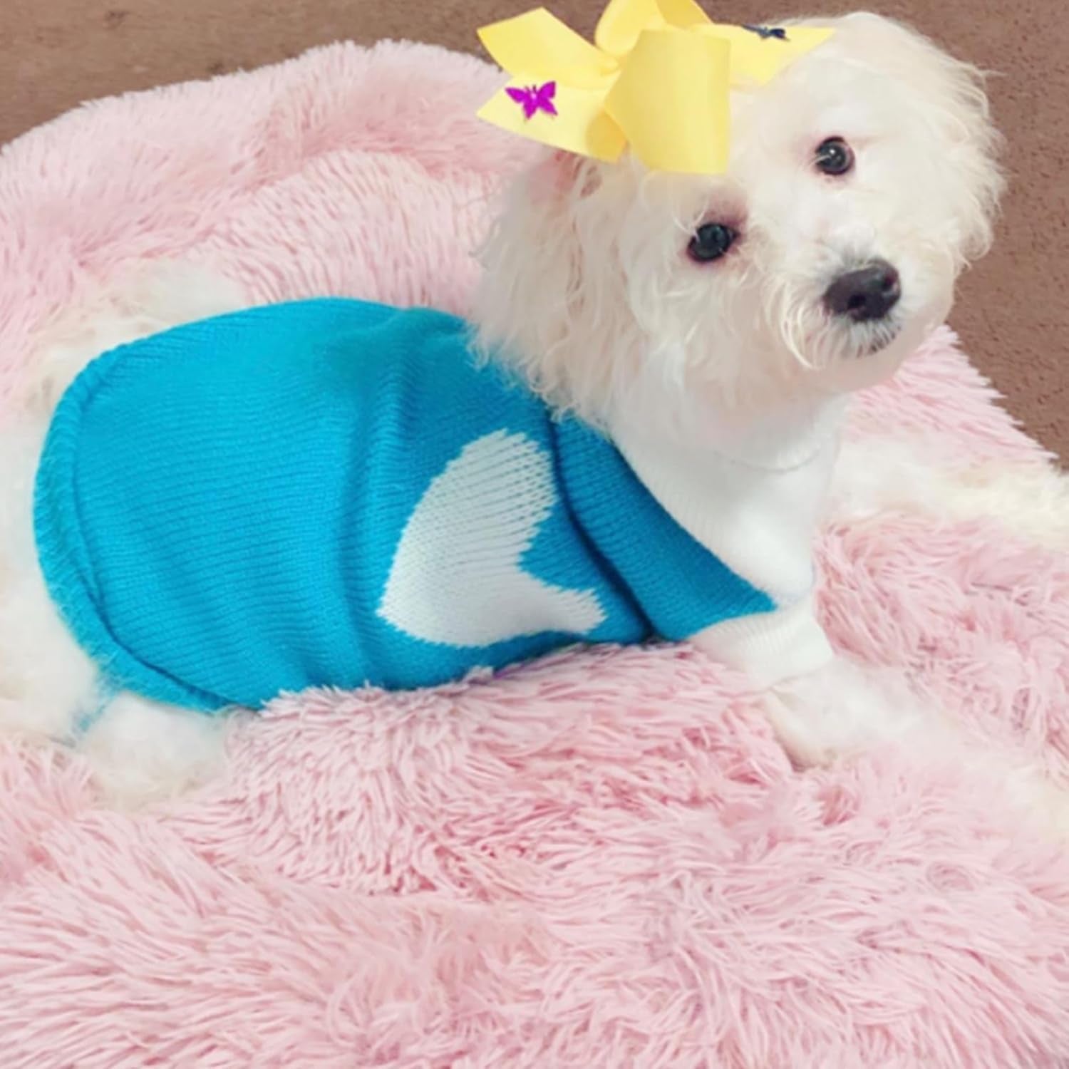 Pet Dog Sweaters Classic Knitwear Turtleneck Winter Warm Puppy Clothing Cute Strawberry and Heart Doggie Sweater