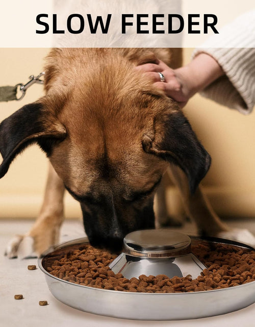 Load image into Gallery viewer, Stainless Steel Puppy Bowls, Set of 2 Puppy Feeder, Dog Food and Water Bowl, Food Feeding Weaning for Small Medium Large Dogs, Pets, M
