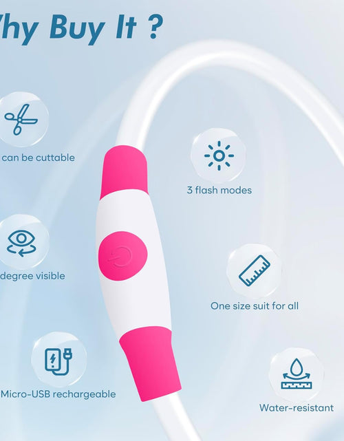 Load image into Gallery viewer, Light up Dog Collars - Rechargeable LED Dog Collar, Glowing Puppy Collar, TPU Cuttable Dog Walking Lights for Small Medium and Large Dogs (Pink-Ii)
