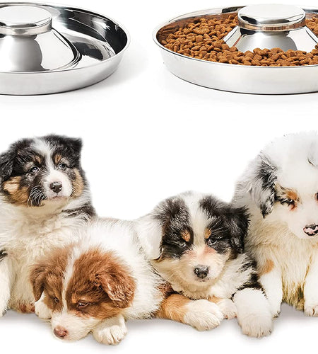 Stainless Steel Puppy Bowls, Set of 2 Puppy Feeder, Dog Food and Water Bowl, Food Feeding Weaning for Small Medium Large Dogs, Pets, M