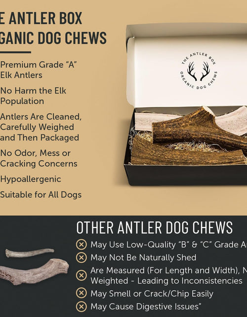 Load image into Gallery viewer, Premium Elk Antler Dog Chews (1 Pound Box) (Small (7-8 Pieces) Whole/Split Mixed)
