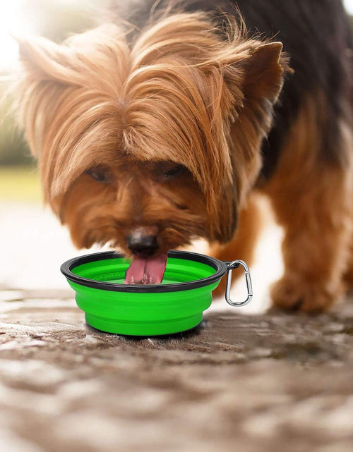 Load image into Gallery viewer, Extra Large Collapsible Dog Bowls 2 Pack, 34Oz Foldable Dog Travel Bowl, Portable Dog Water Food Bowl with Carabiner, Pet Feeding Cup Dish for Traveling, Walking, Parking
