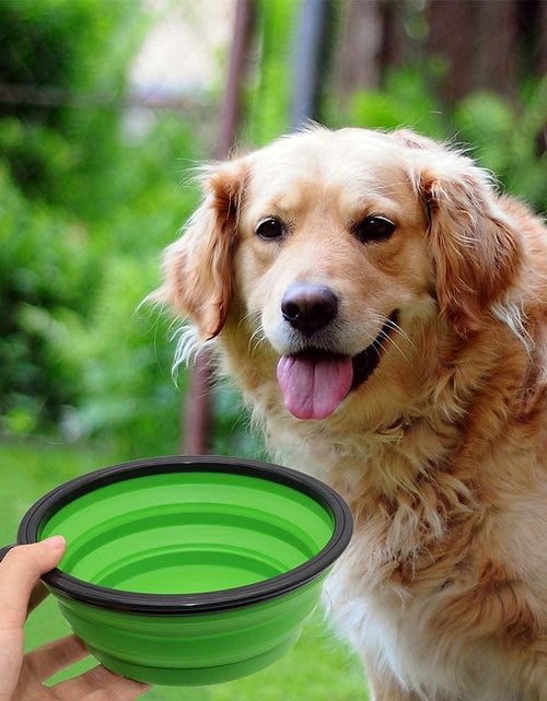 Load image into Gallery viewer, Collapsible Dog Bowl, 2 Pack Collapsible Dog Water Bowls for Cats Dogs, Portable Pet Feeding Watering Dish for Walking Parking Traveling with 2 Carabiners
