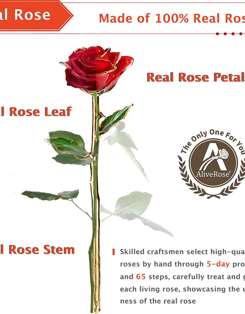 Load image into Gallery viewer, Gold Rose,24K Gold Real Rose Gift for Her, Long Stem Rose Made from Real Gold Rose for Anniversary Valentines Mothers Day Birthday (Teal Blue with Crystal Vase)
