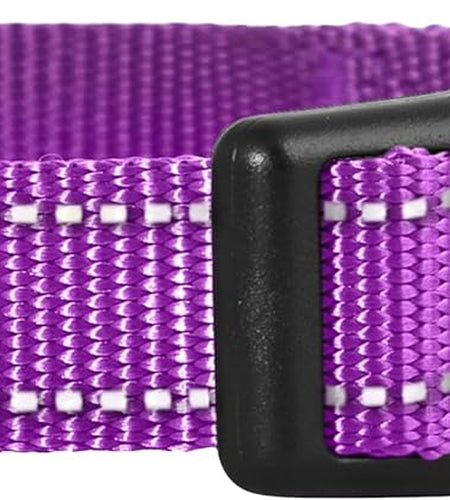 Reflective Dog Collar,Bright Glow Colors for Night Safety, Adjustable for Small, Medium, Large Pet and Puppies Accessories, Male, Female, Boy, Girl, Puppy (Small, Purple)