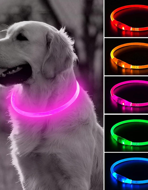 Load image into Gallery viewer, Light up Dog Collars - Rechargeable LED Dog Collar, Glowing Puppy Collar, TPU Cuttable Dog Walking Lights for Small Medium and Large Dogs (Pink-Ii)
