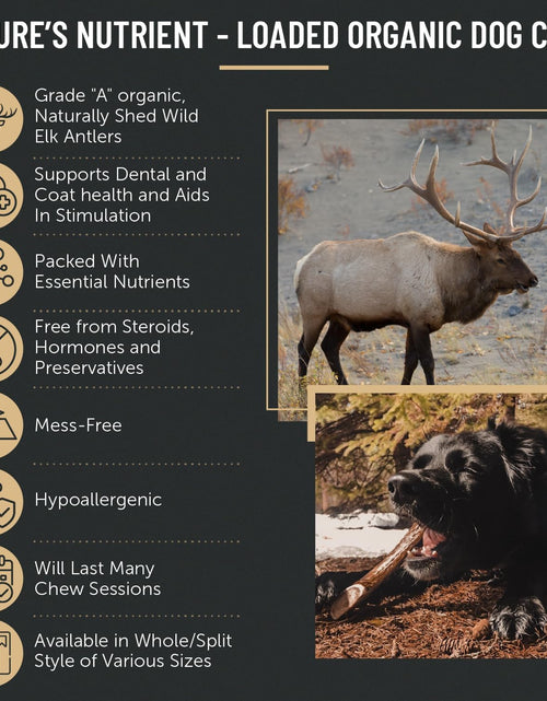 Load image into Gallery viewer, Premium Elk Antler Dog Chews (1 Pound Box) (Small (7-8 Pieces) Whole/Split Mixed)
