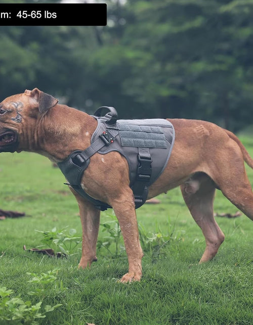 Load image into Gallery viewer, Tactical Dog Harness ,Medium Size, 2X Metal Buckle,Working Dog MOLLE Vest with Handle,No Pulling Front Leash Clip,Hook and Loop Panel
