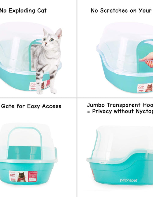 Load image into Gallery viewer, Jumbo Hooded Cat Litter Box, Extra Large, Teal
