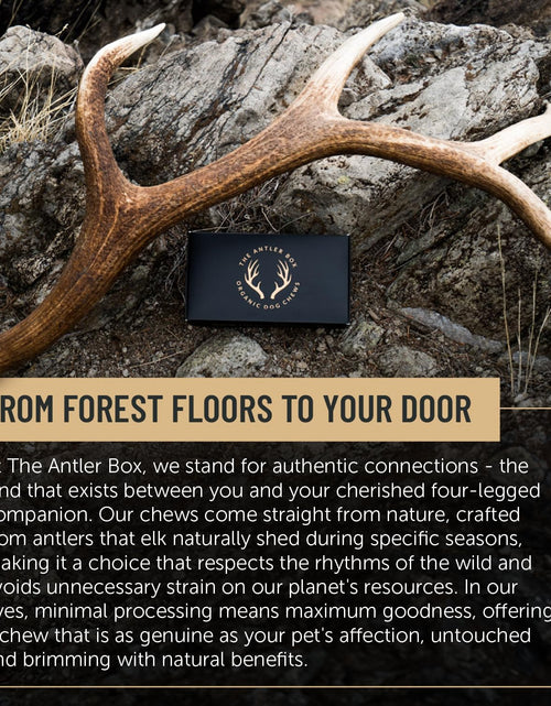 Load image into Gallery viewer, Premium Elk Antler Dog Chews (1 Pound Box) (Small (7-8 Pieces) Whole/Split Mixed)
