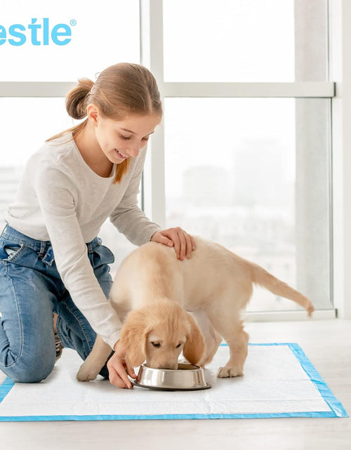 Load image into Gallery viewer, Pet Training and Puppy Pads Pee Pads for Dogs 22&quot;X22&quot;-50 Count Super Absorbent &amp; Leak-Proof
