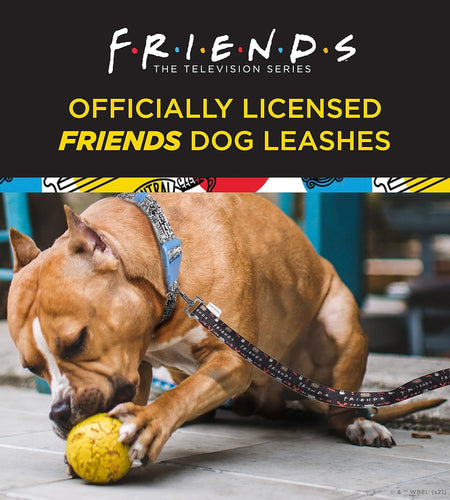 Friends TV Show City Doodle Dog Leash, Attaches to Harness - Friends Dog Lead, Puppy Leash, Leash for Dogs, Dog Leashes, Cute Dog Leash, Blue Dog Leash, Friends Pet Leash for Puppy, Dog Walking Leash