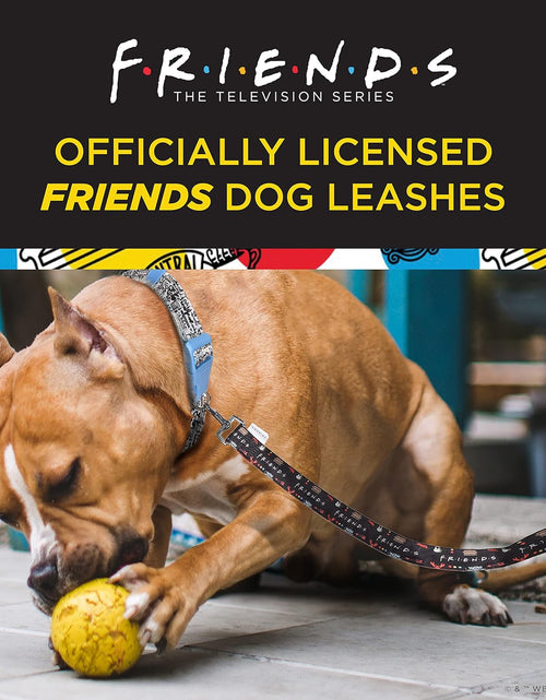 Load image into Gallery viewer, Friends TV Show City Doodle Dog Leash, Attaches to Harness - Friends Dog Lead, Puppy Leash, Leash for Dogs, Dog Leashes, Cute Dog Leash, Blue Dog Leash, Friends Pet Leash for Puppy, Dog Walking Leash
